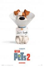 Watch The Secret Life of Pets 2 Sockshare
