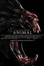 Watch Animal Sockshare