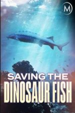 Watch Saving the Dinosaur Fish Sockshare