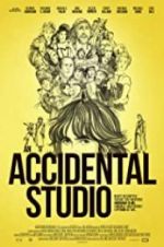 Watch An Accidental Studio Sockshare