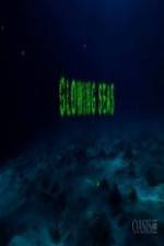 Watch Glowing Seas - Diving at Hatshepsut's Harbour Sockshare