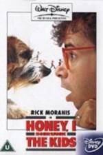 Watch Honey, I Shrunk the Kids Sockshare