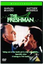 Watch The Freshman Sockshare