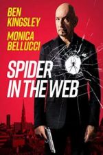 Watch Spider in the Web Sockshare