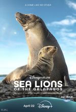 Sea Lions of the Galapagos (TV Special 2025) sockshare