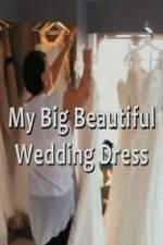 Watch My Big Beautiful Wedding Dress Sockshare