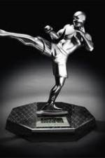 Watch World MMA Awards 2010 Sockshare