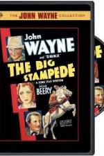 Watch The Big Stampede Sockshare