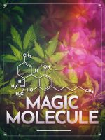 Watch Magic Molecule Sockshare