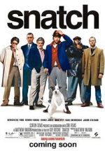 Watch Snatch Sockshare