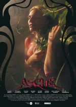 Watch Asche Sockshare