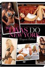 Watch WWE Divas Do New York Sockshare