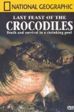 Watch National Geographic: The Last Feast of the Crocodiles Sockshare