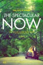 Watch The Spectacular Now Sockshare