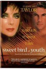 Watch Sweet Bird of Youth Sockshare