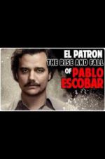 Watch The Rise and Fall of Pablo Escobar Sockshare