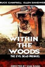 Watch Within the Woods Sockshare