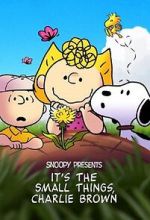 Watch Snoopy Presents: It's the Small Things, Charlie Brown (TV Special 2022) Sockshare