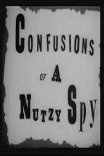 Watch Confusions of a Nutzy Spy Sockshare
