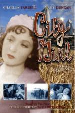 Watch Die Frau aus Chicago Sockshare