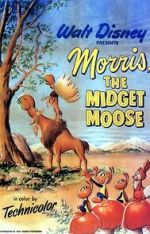 Watch Morris the Midget Moose (Short 1950) Sockshare