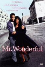 Watch Mr Wonderful Sockshare