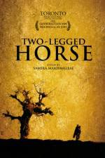 Watch Two-Legged Horse Sockshare