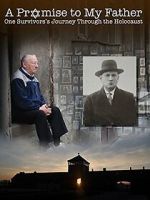 Watch A Promise to My Father Sockshare