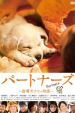 Watch Ptonzu Sockshare