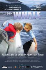 Watch The Whale Sockshare