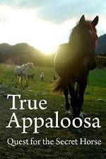 Watch True Appaloosa Sockshare
