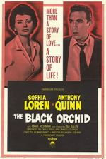 Watch The Black Orchid Sockshare