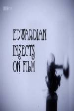 Watch Edwardian Insects on Film Sockshare