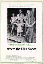 Watch Where the Lilies Bloom Sockshare