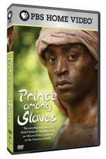 Watch Prince Among Slaves Sockshare