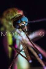 Watch Mosquito Sockshare