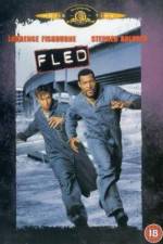 Watch Fled Sockshare