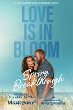 Watch Spring Breakthrough Sockshare