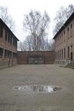 Watch Made in Auschwitz: The Untold Story of Block 10 Sockshare