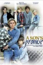 Watch A Son's Promise Sockshare