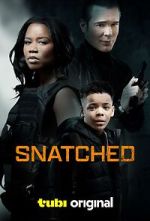 Watch Snatched Sockshare