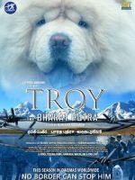 Watch Troy the Bharat Putra Sockshare