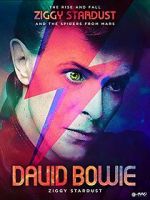 Watch David Bowie: Stardust Sockshare