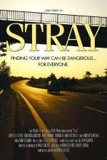 Watch Stray Sockshare