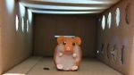 Watch Hamster Hell (Short 2012) Sockshare