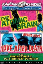 Watch Love After Death Sockshare