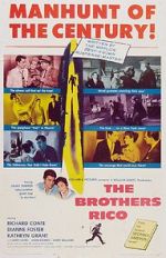 Watch The Brothers Rico Sockshare