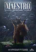 Watch Maestro Sockshare