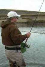 Watch Patagonian Silver Sockshare