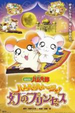 Watch Hamtaro: The Captive Princess Sockshare